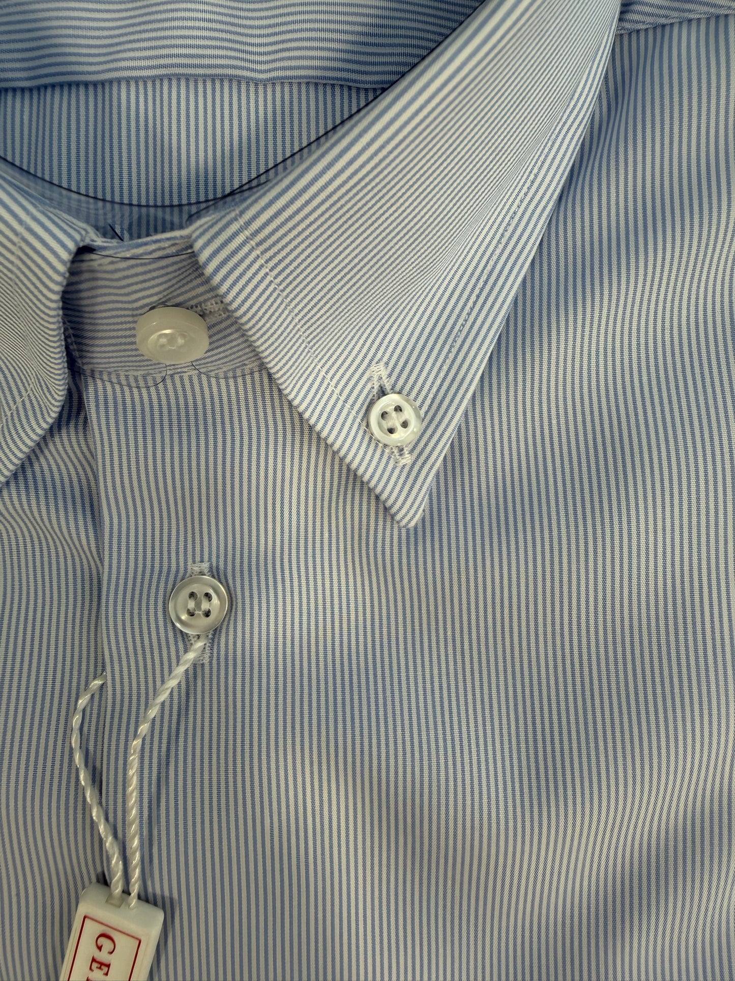 Righine celesti collo BOTTON DOWN