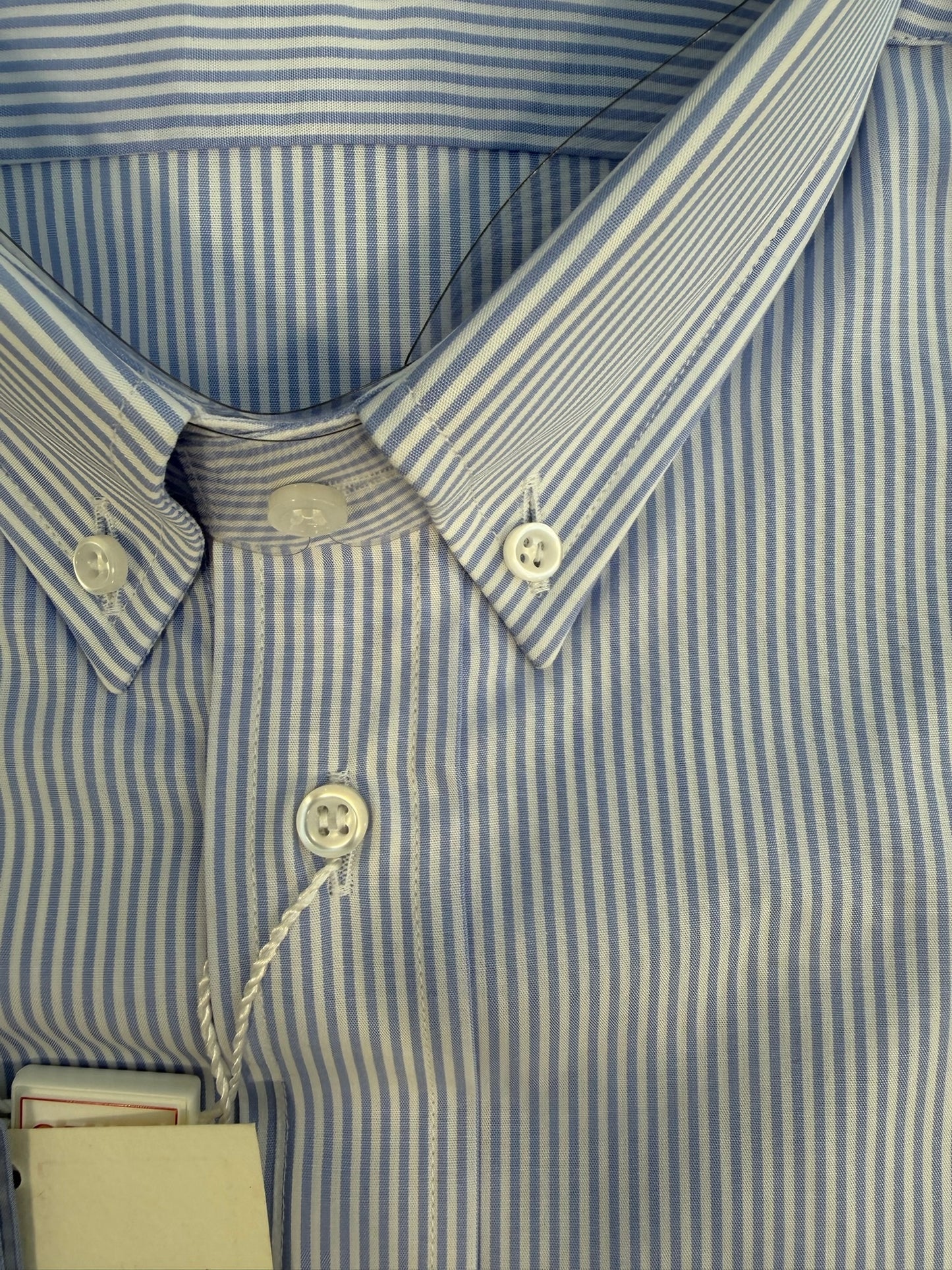 Righine celesti collo BOTTON DOWN