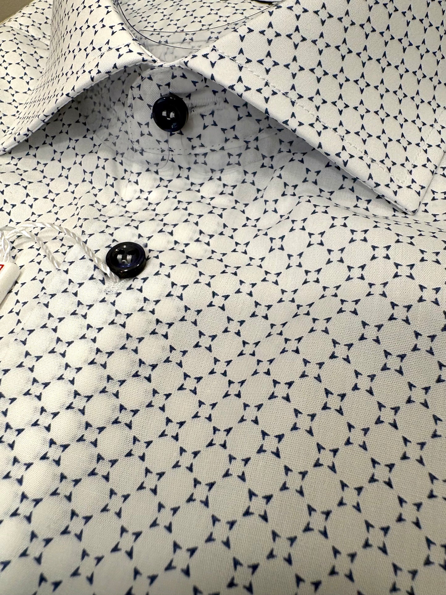 Microfantasia blu fondo bianco 6190