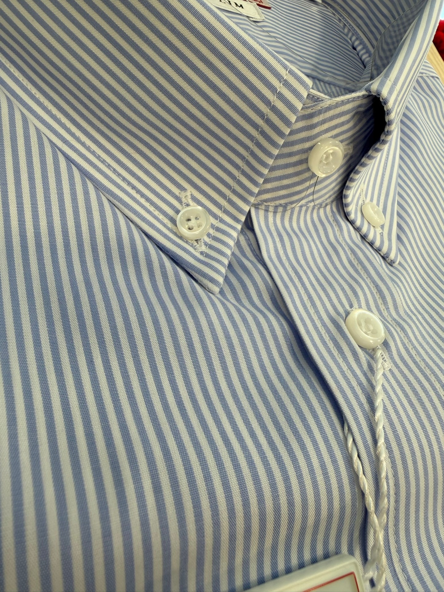 Righine celesti collo BOTTON DOWN