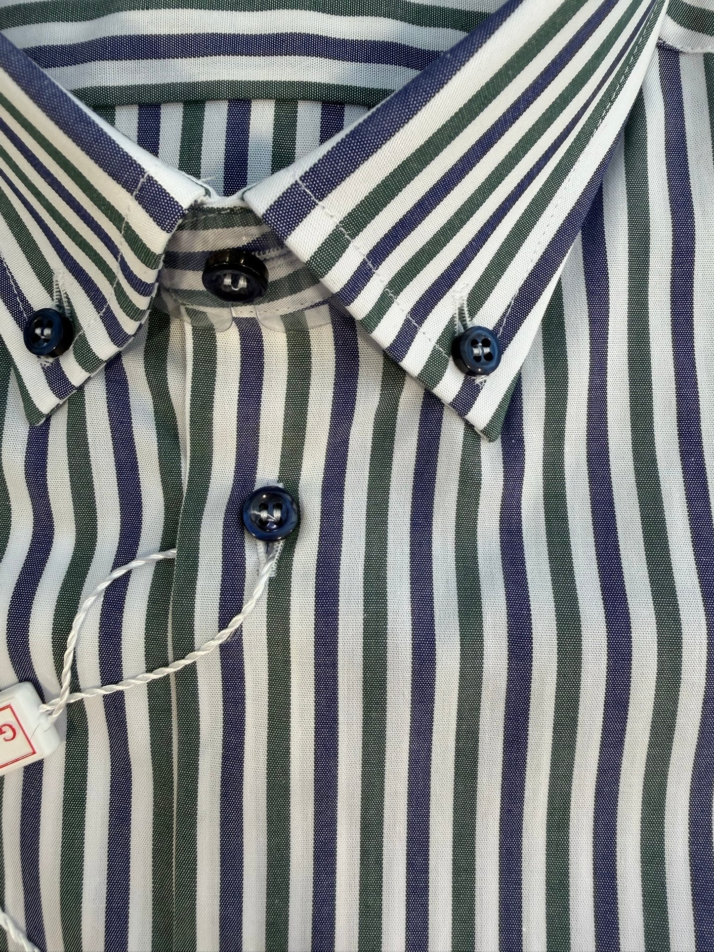 Riga verde blu 6201 collo BOTTON DOWN